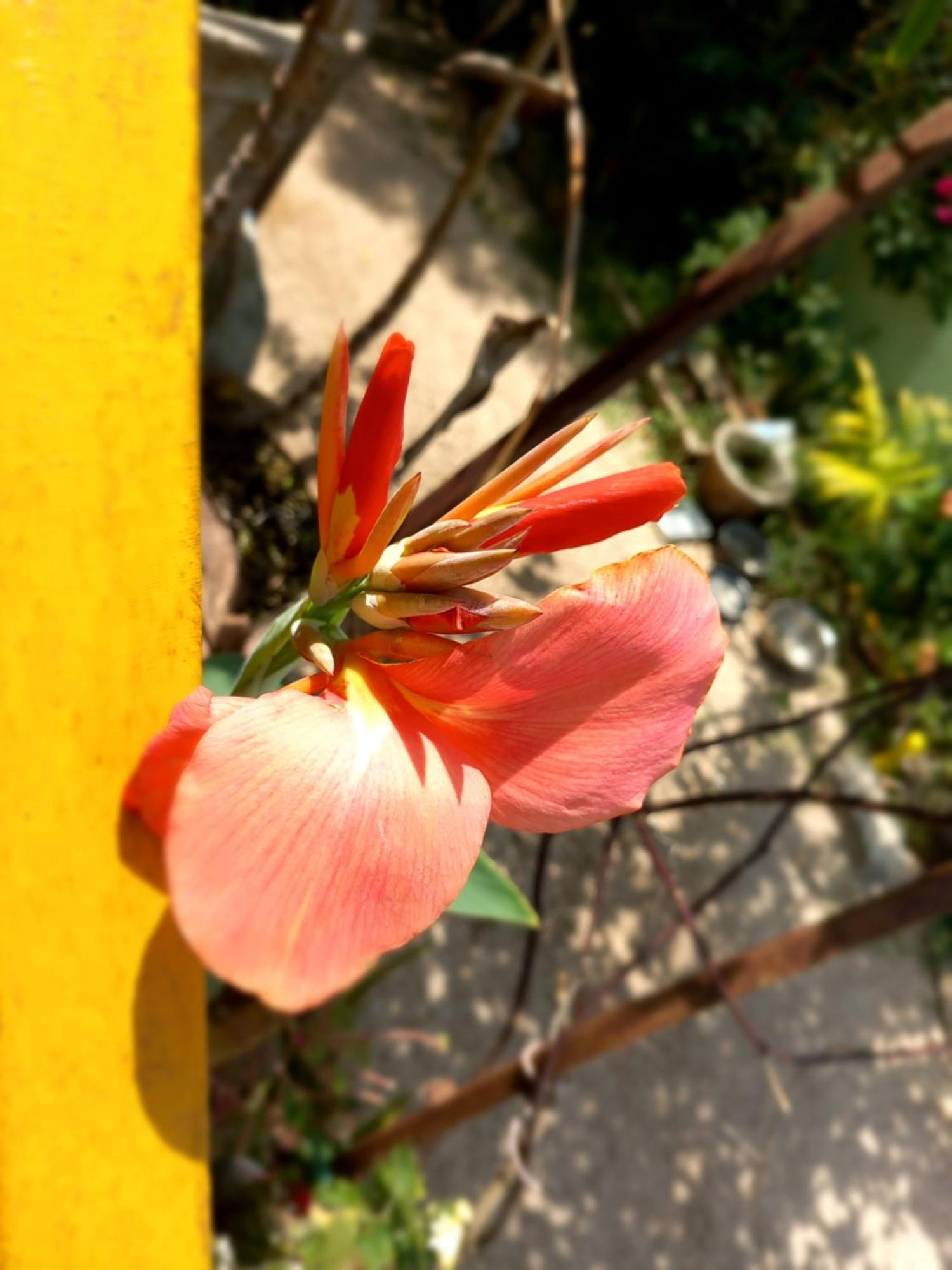 גאמביאני La Locanda Lodge - Apartment, 4 Double Rooms & Kitchen Near The Beach מראה חיצוני תמונה