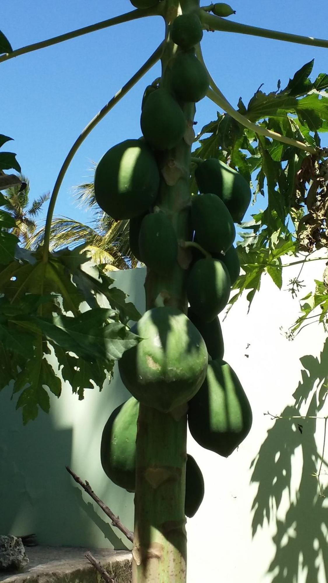 גאמביאני La Locanda Lodge - Apartment, 4 Double Rooms & Kitchen Near The Beach מראה חיצוני תמונה