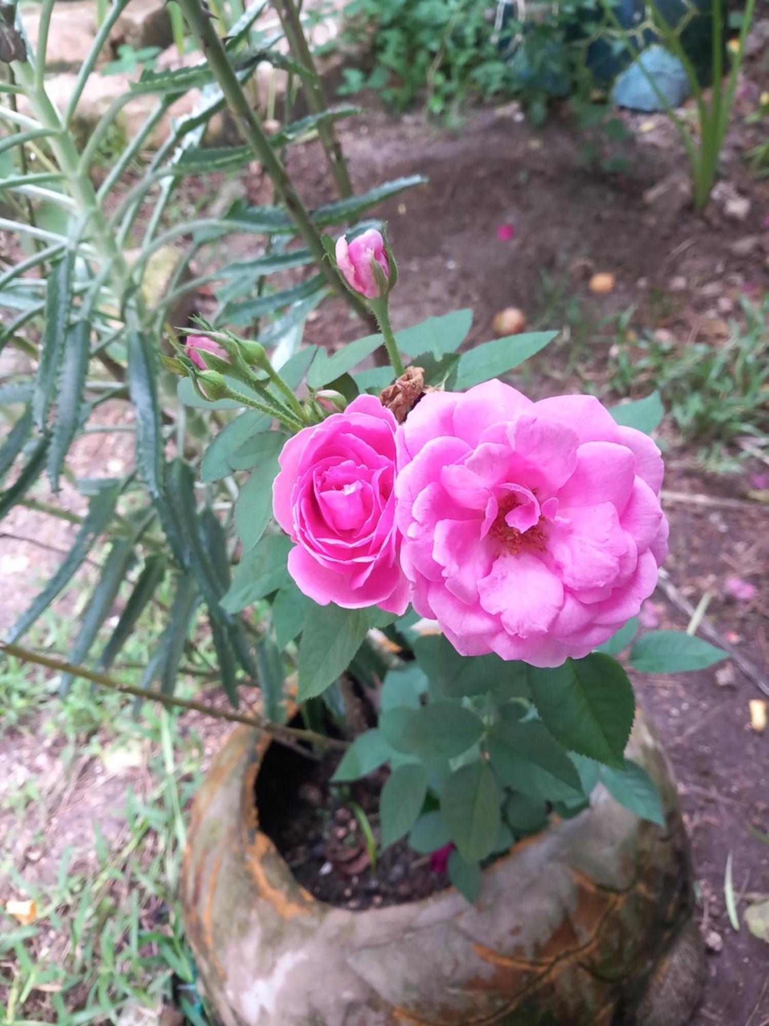 גאמביאני La Locanda Lodge - Apartment, 4 Double Rooms & Kitchen Near The Beach מראה חיצוני תמונה