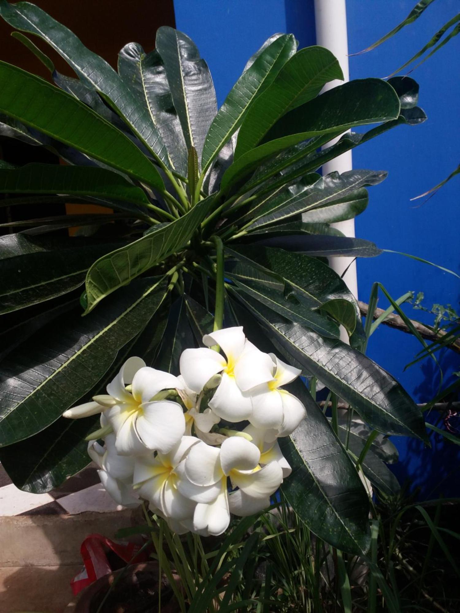 גאמביאני La Locanda Lodge - Apartment, 4 Double Rooms & Kitchen Near The Beach מראה חיצוני תמונה