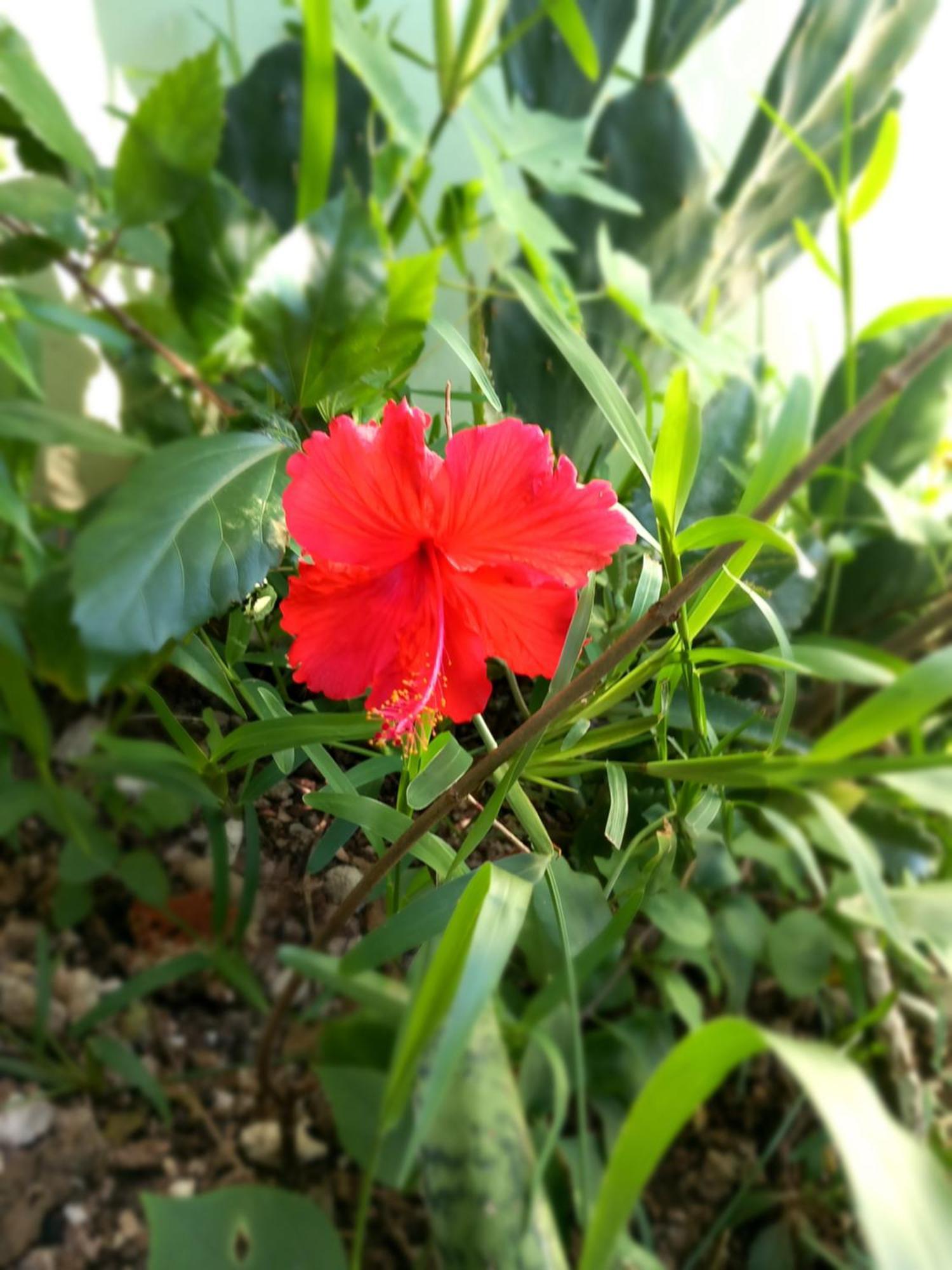 גאמביאני La Locanda Lodge - Apartment, 4 Double Rooms & Kitchen Near The Beach מראה חיצוני תמונה