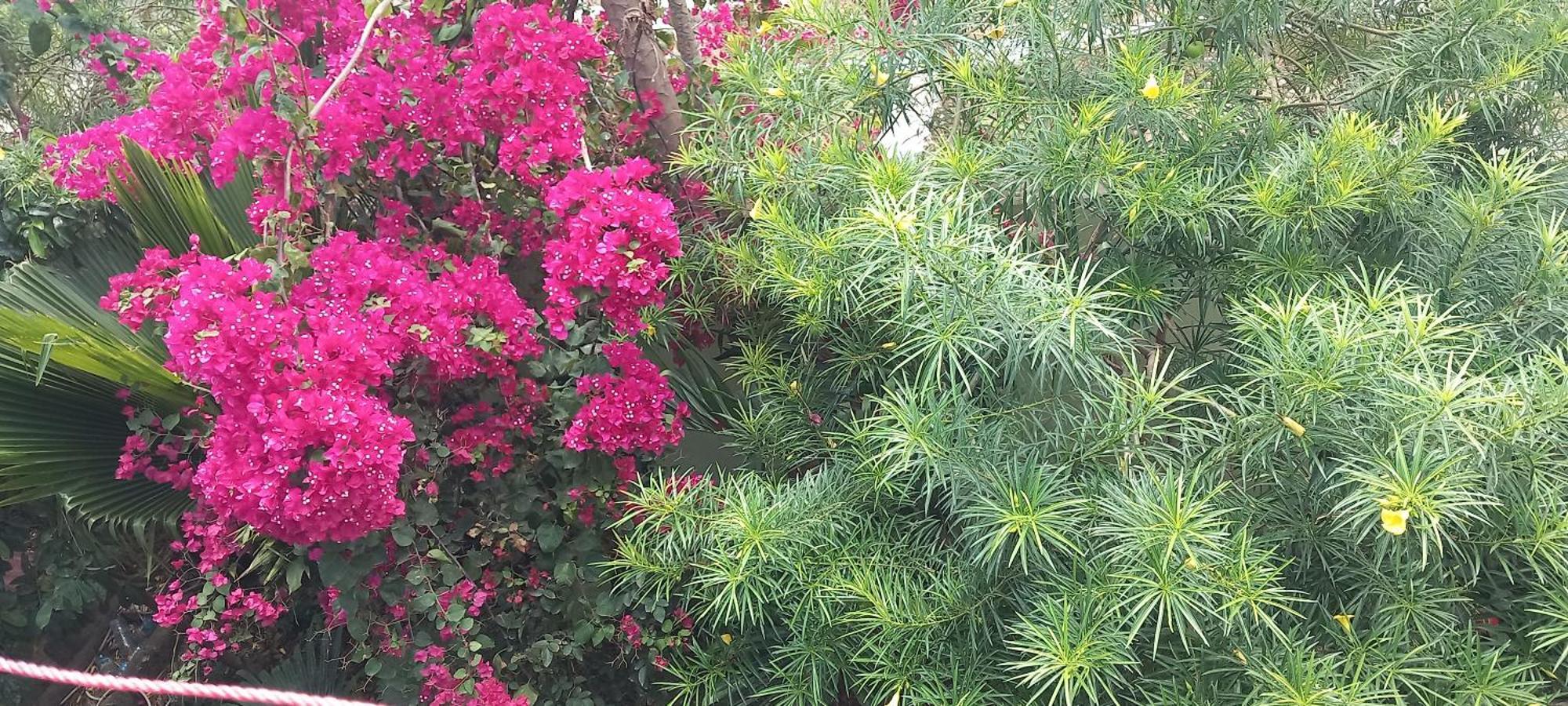 גאמביאני La Locanda Lodge - Apartment, 4 Double Rooms & Kitchen Near The Beach מראה חיצוני תמונה