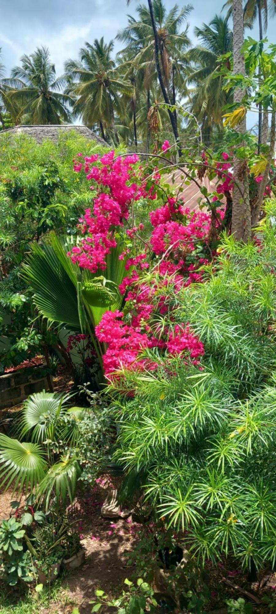 גאמביאני La Locanda Lodge - Apartment, 4 Double Rooms & Kitchen Near The Beach מראה חיצוני תמונה